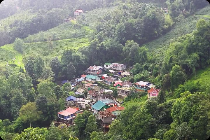 Bengali speech to text image